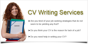 Resume Writing Services in Himachal Jammu Kashmir India